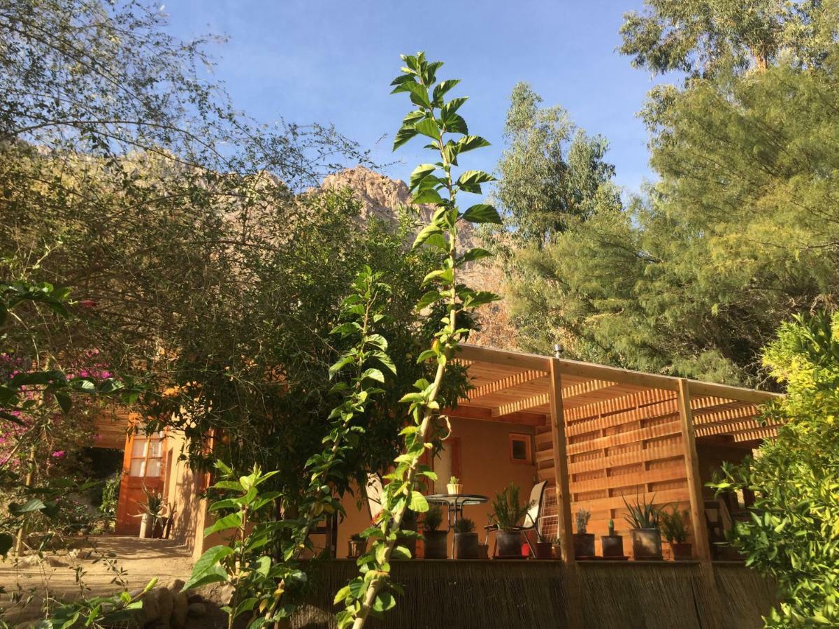 Cabanas El Albaricoque Cochiguaz Эль-Санхеадо Экстерьер фото